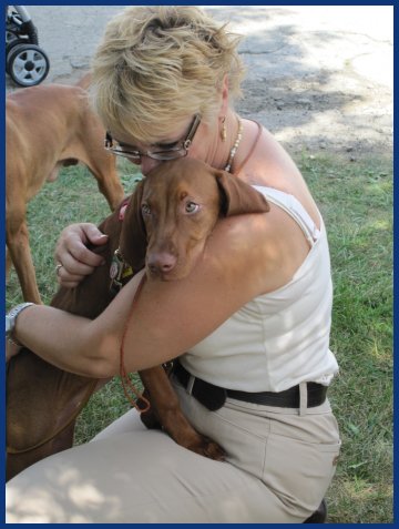 Vizsla being hugged