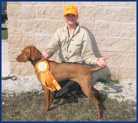 Vizsla with hunt test ribbon