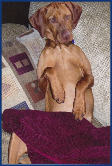 Tori relaxing on couch